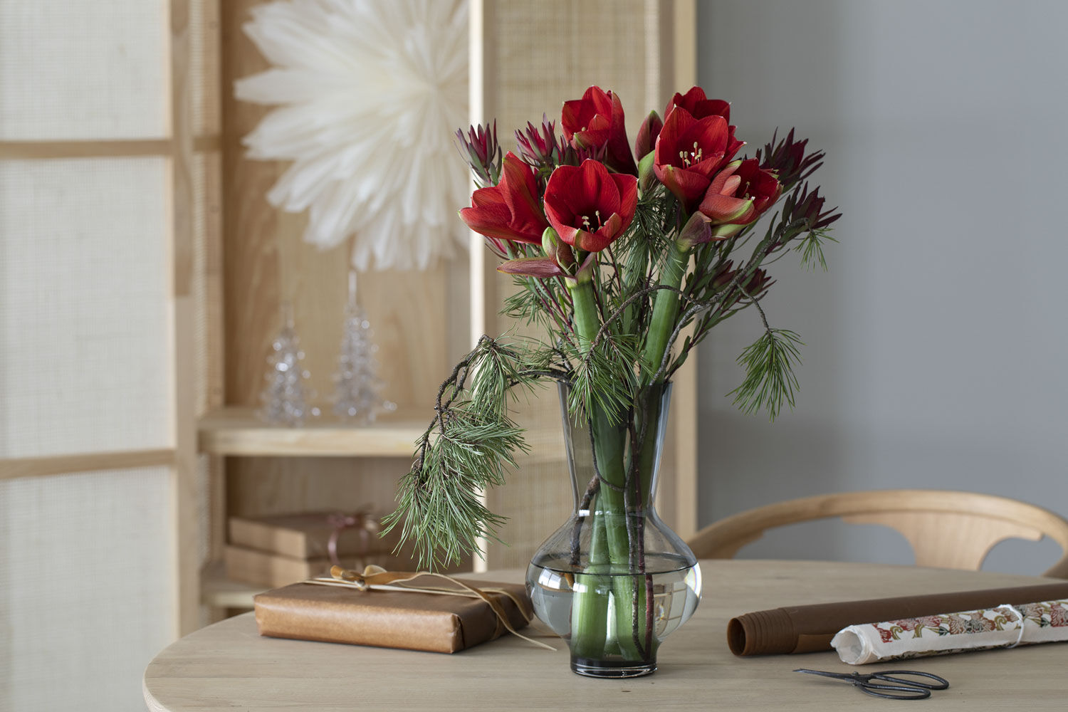 Amaryllis er en populær blomst til jul Amaryllis er en populær blomst til jul